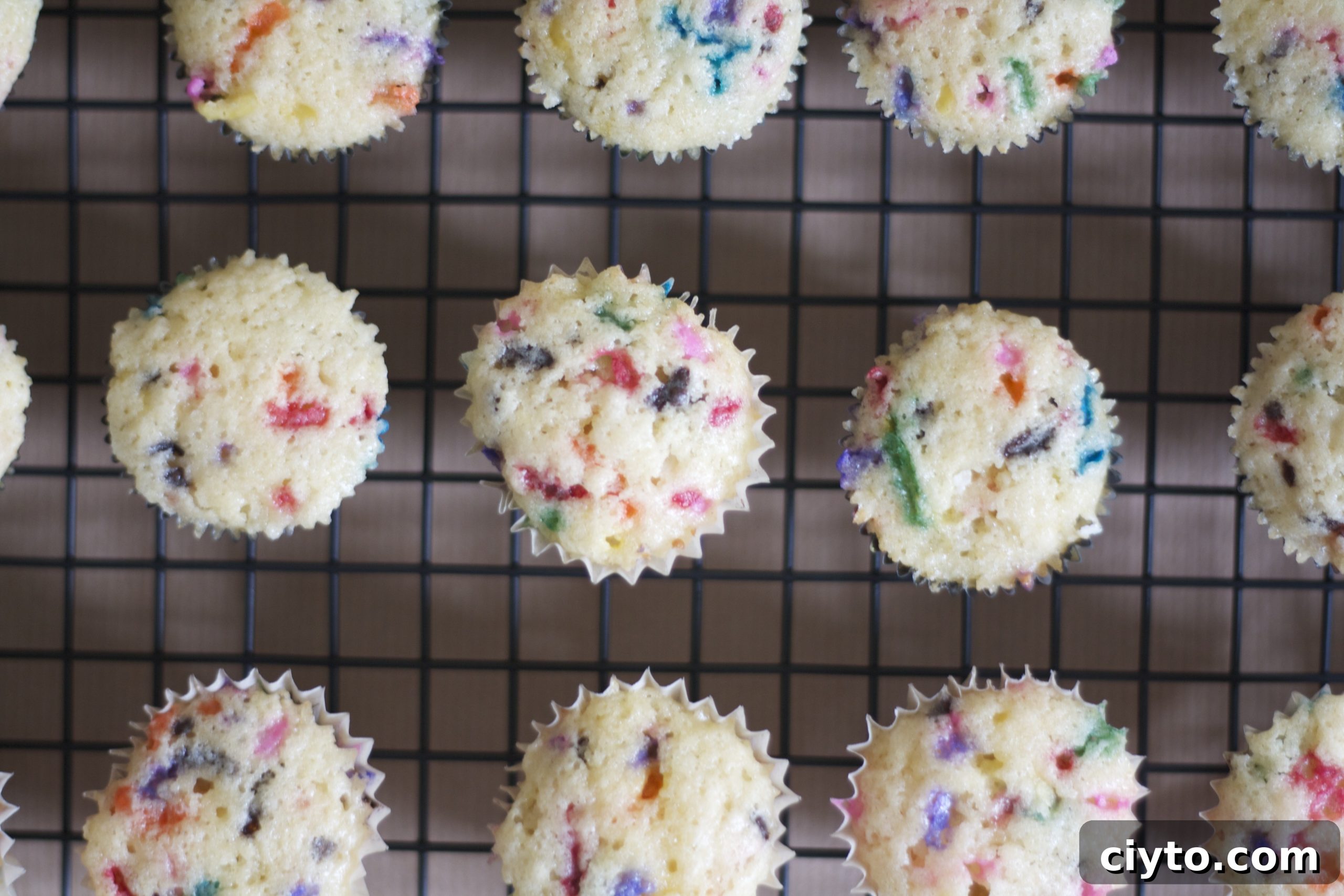 funfetti cupcake