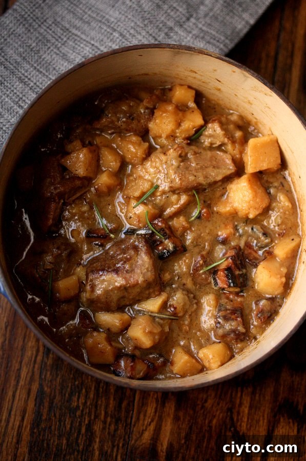 Apple Cider Pork Stew