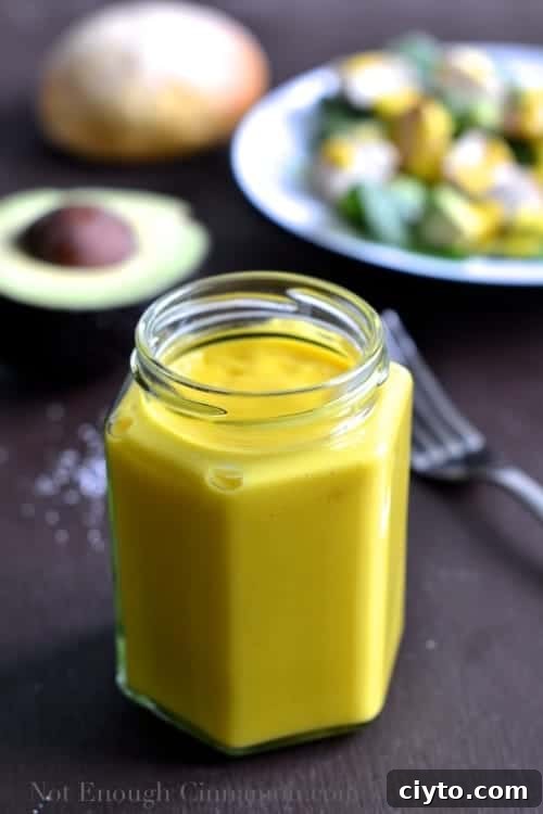 Grilled Chicken and Avocado Salad with Mango Dressing - NotEnoughCinnamon.com