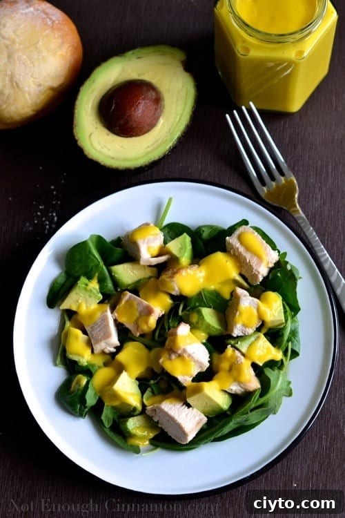 Grilled Chicken and Avocado Salad with Mango Dressing - NotEnoughCinnamon.com