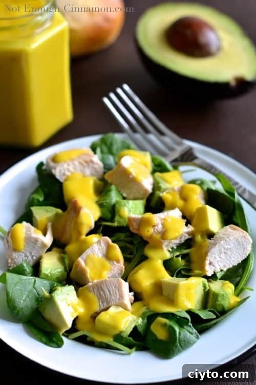 Grilled Chicken and Avocado Salad with Mango Dressing - NotEnoughCinnamon.com