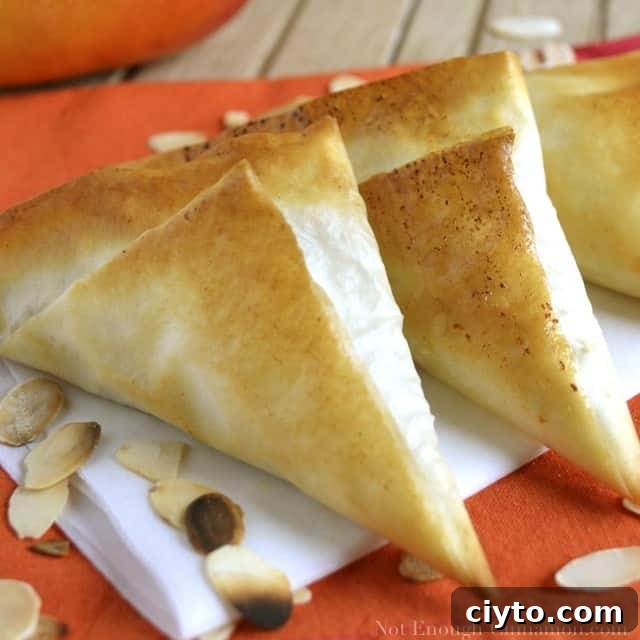 Baked Mango Samosa