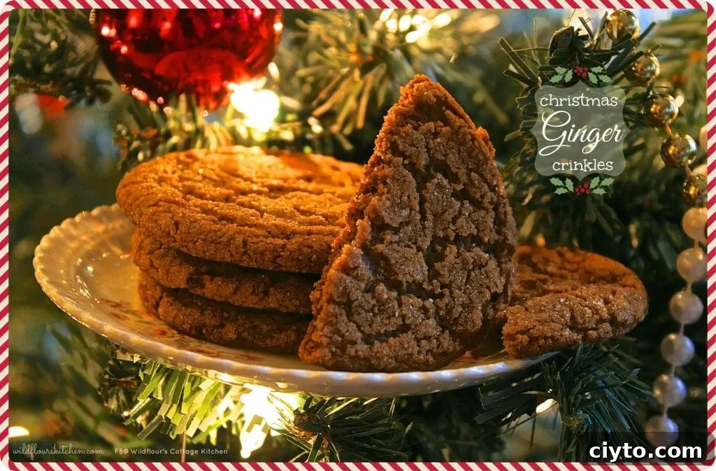 ginger crinkles