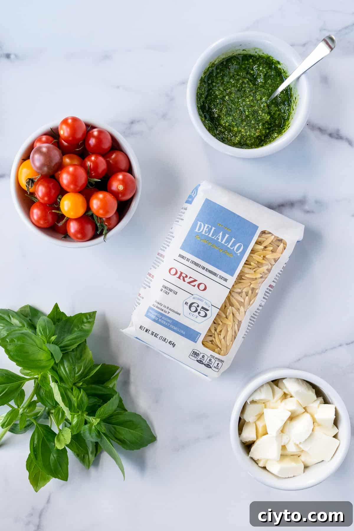 Pesto Orzo Salad Ingredients which include orzo, tomatoes, basil, pesto, and mozzarella.