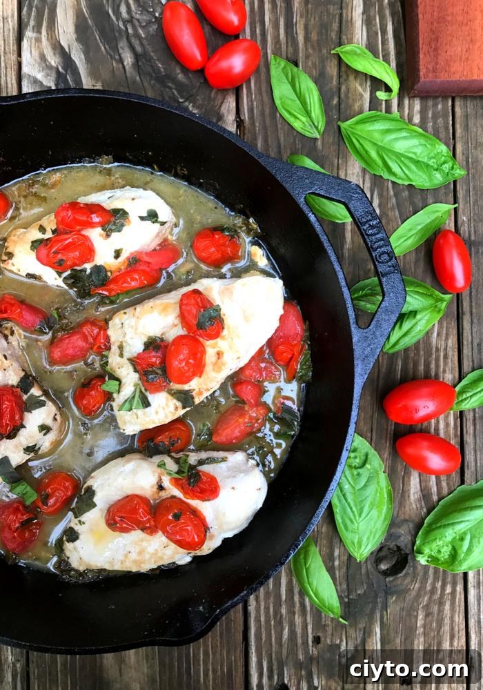 Skillet Chicken with Tomatoes and Fresh Basil 3 Tomato Basil Skillet Chicken by The Whole Cook VERTICAL FEATURE 1