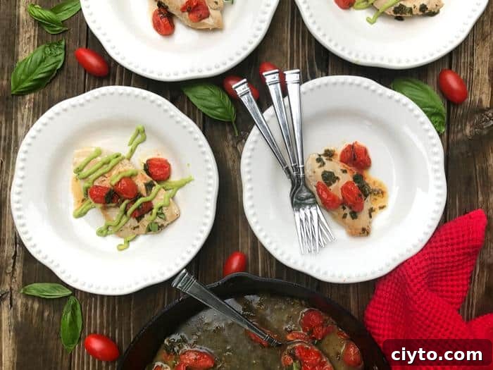 Skillet Chicken with Tomatoes and Fresh Basil 4 Tomato Basil Skillet Chicken by The Whole Cook HORIZONTAL FEATURE