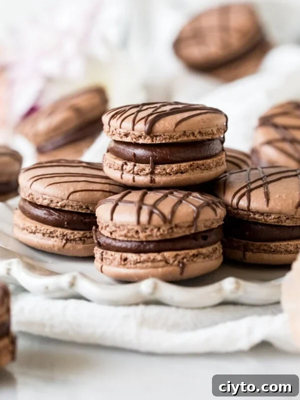 Plate of chocolate macarons drizzled with chocolate.