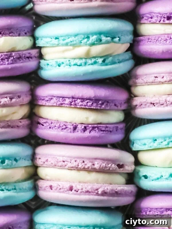 French macarons in bright colors.