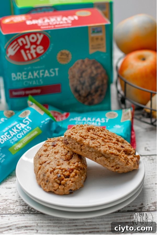Enjoy Life Breakfast Ovals
