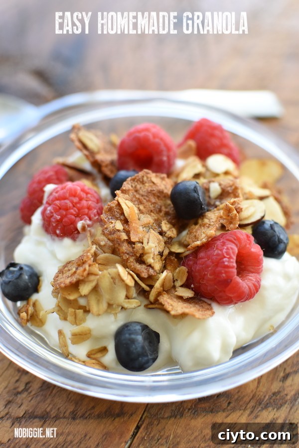 how to make granola | NoBiggie.net