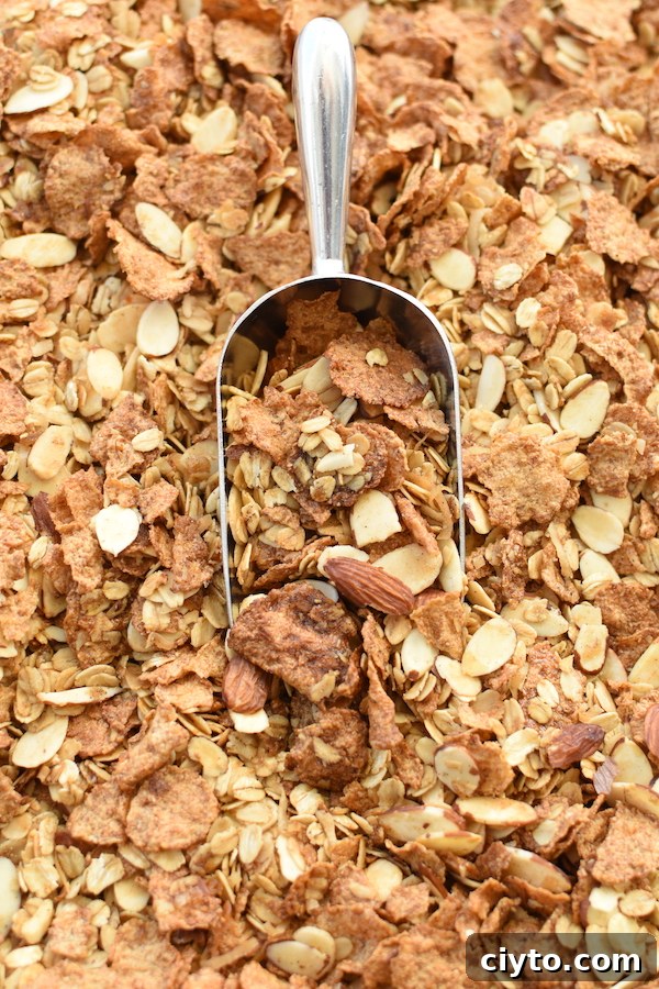 homemade granola recipe | NoBiggie.net