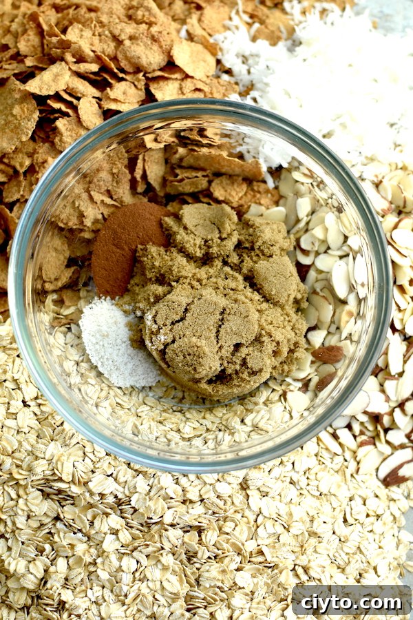 ingredients for granola | NoBiggie.net