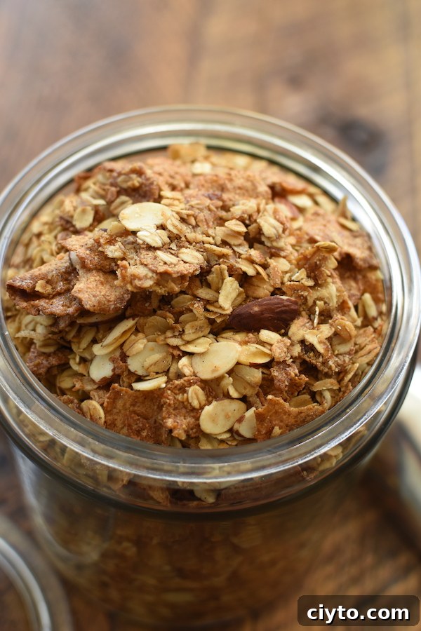 what you need for granola | NoBiggie.net