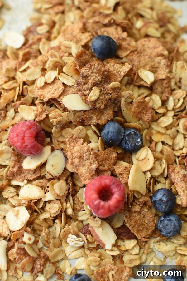 homemade easy granola | NoBiggie.net