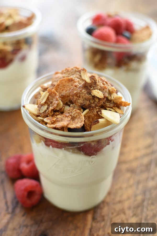 granola recipe | NoBiggie.net