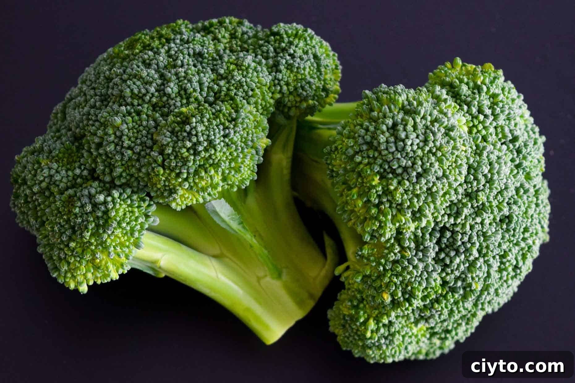 Broccoli on black background