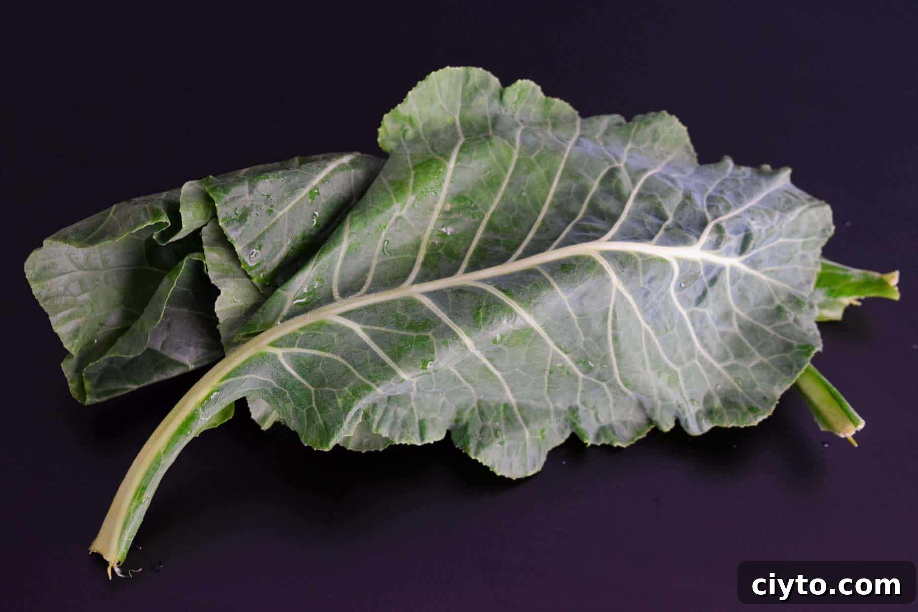 Collard greensi on black background
