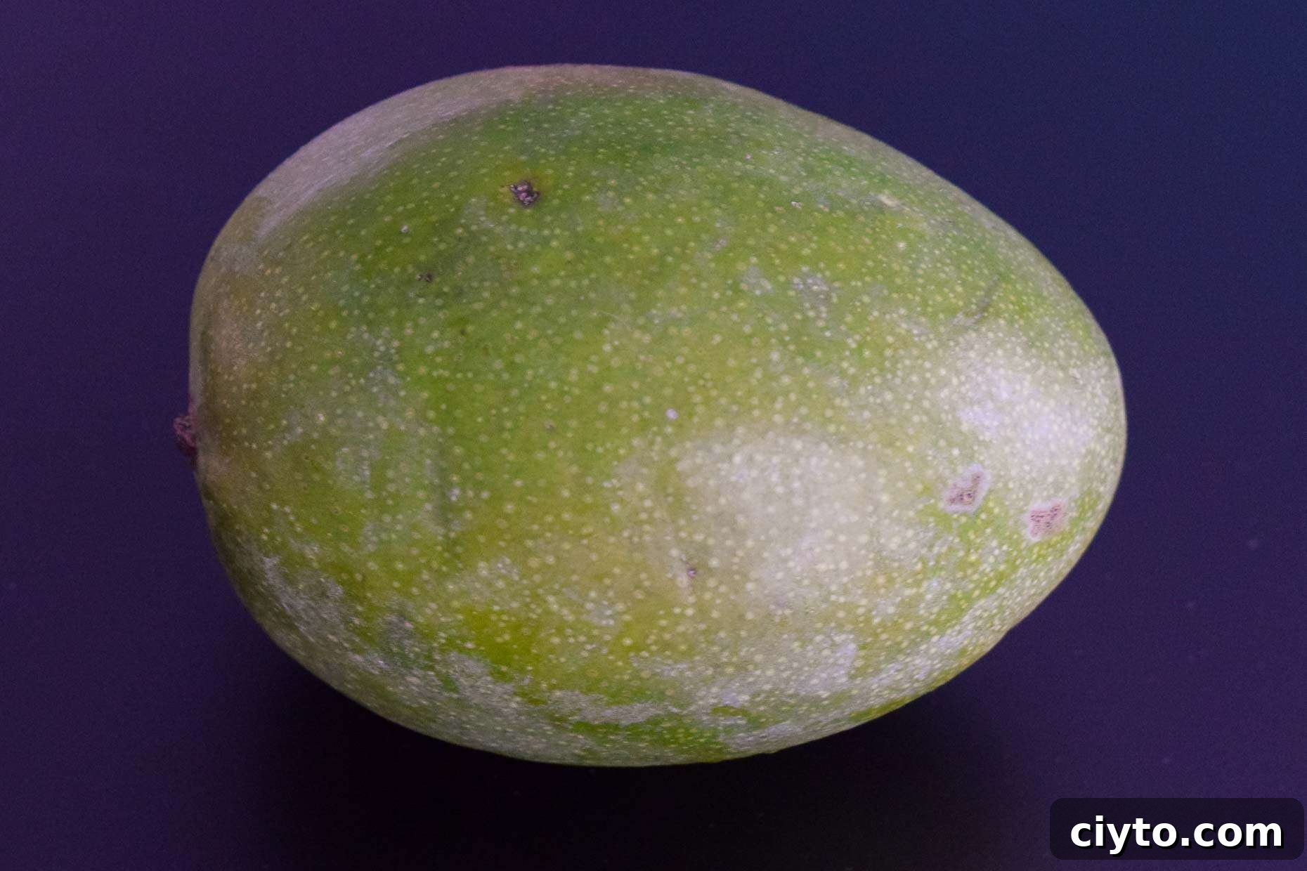 Mango on black background