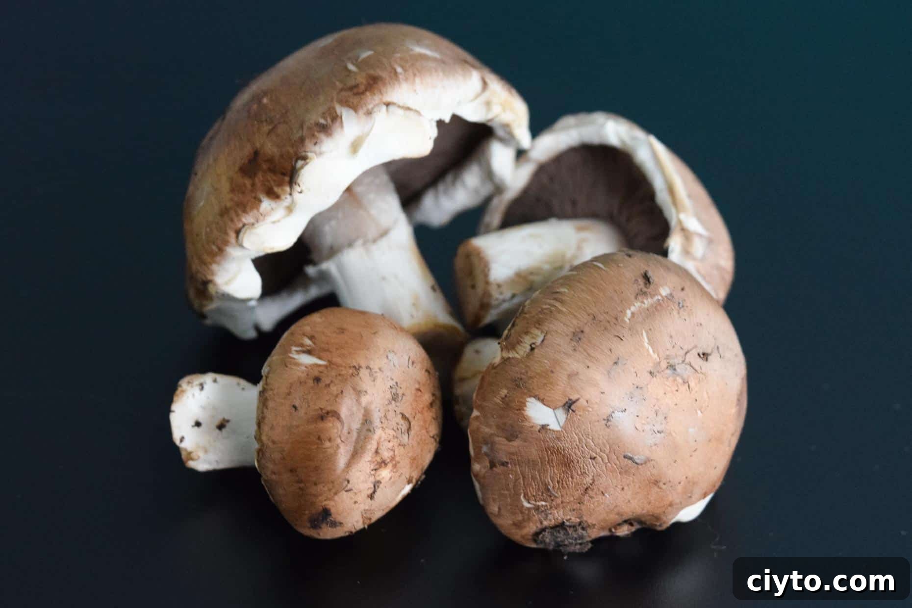 Mushrooms on black background