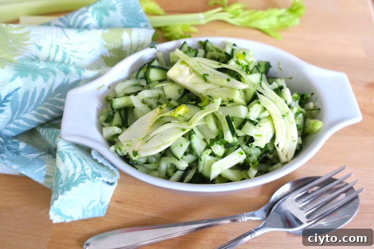 low carb fennel celery cucumber salad