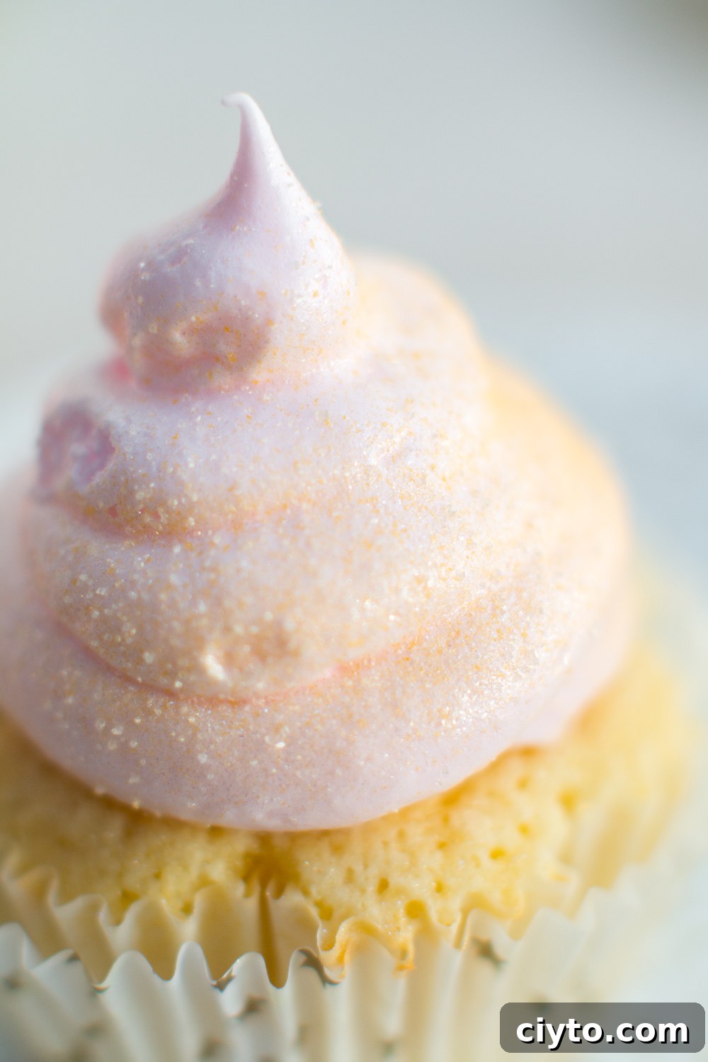 an extreme close up of edible gold dust adorning the meringue swirl atop a pink champagne cupcake