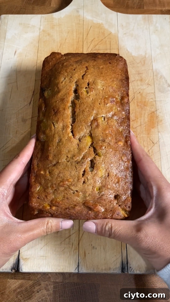 Jackfruit Banana Bread Recipe: Day 22 of the Bread Challenge 6 img 5963 11