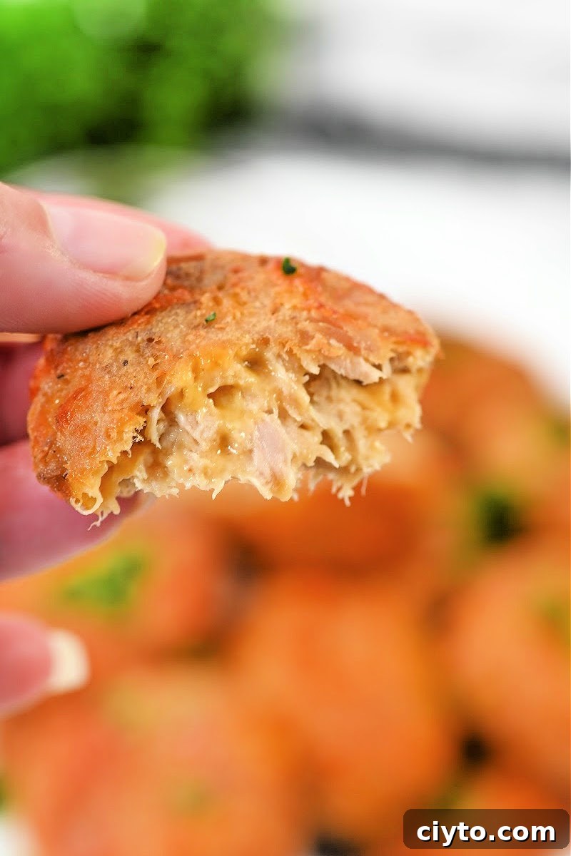 Keto Air Fryer Tuna Bites