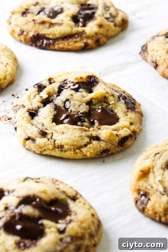 Egg Yolk Cookies Recipe: Crispy, Buttery Treats 2 Chocolate chip egg yolk cookies on a baking sheet.