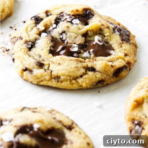 Egg Yolk Cookies Recipe: Crispy, Buttery Treats 11 Egg yolk chocolate chip cookies on a baking sheet.