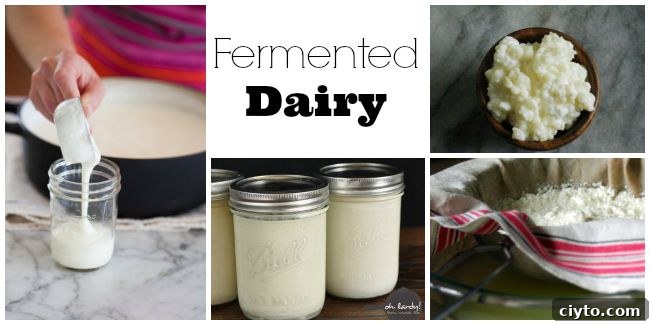 Fermented dairy.