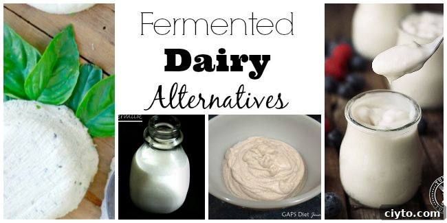 Fermented dairy alternatives.