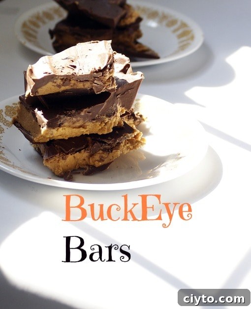 buckeyebars2