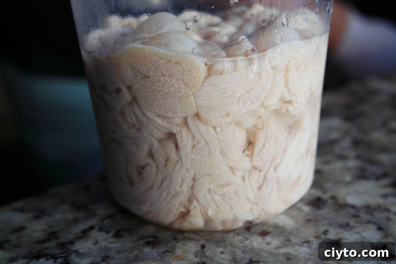 natural hog sausage casings