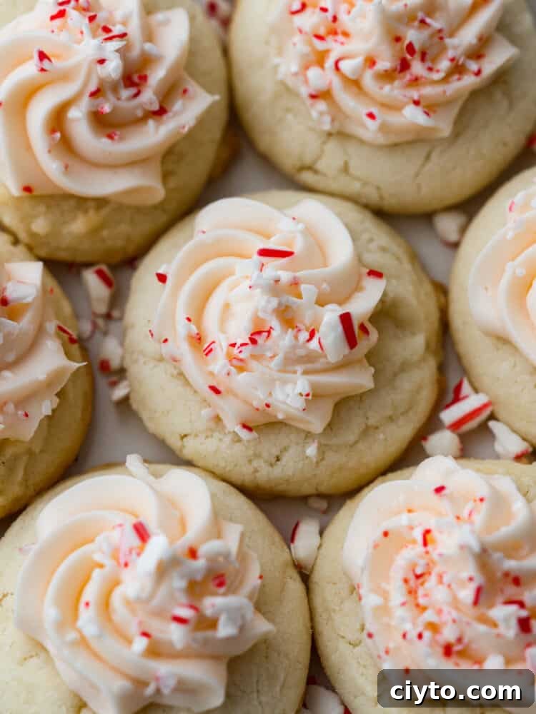 Close up view of peppermint meltaways with frosting and sprinkled peppermint candy on top.