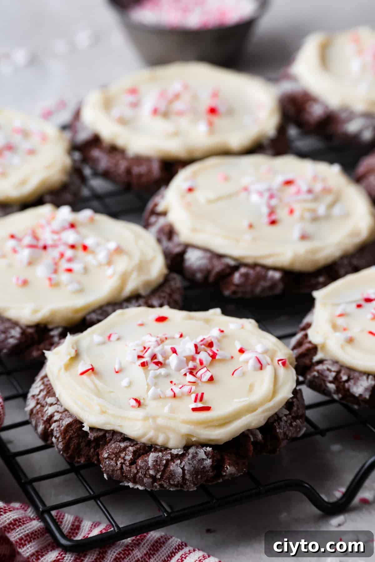 Chocolate peppermint cookies