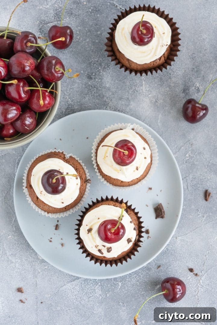 black-forest-cupcakes