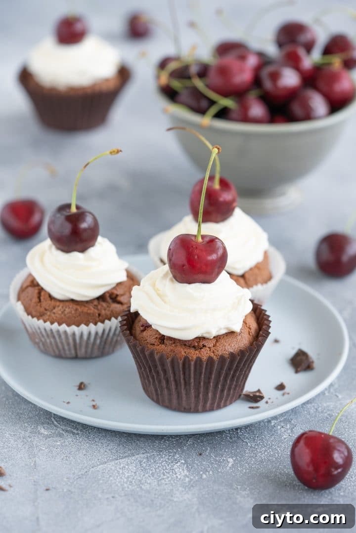 cupcakes-with-cherries-and-chocolate