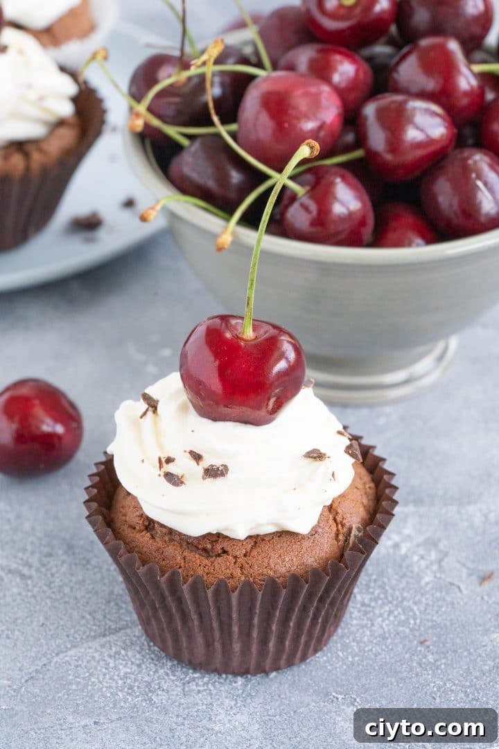 cupcake-recipe-with-cherries