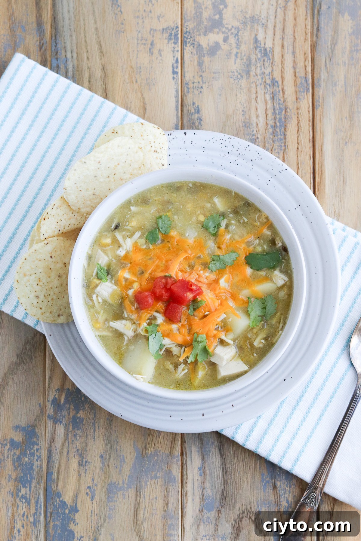 Green Chile Chicken Soup Recipe 2 img 682 1
