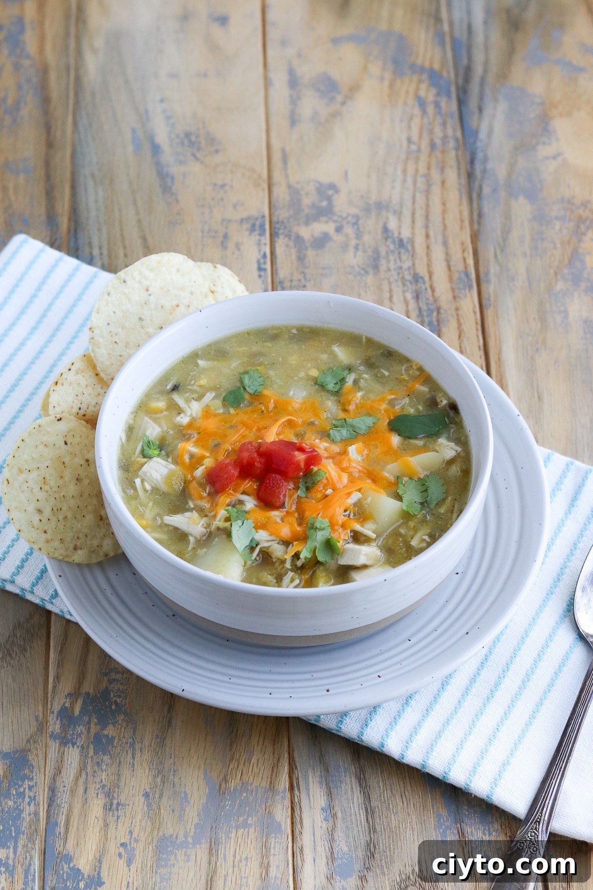 Green Chile Chicken Soup Recipe 9 img 682 8
