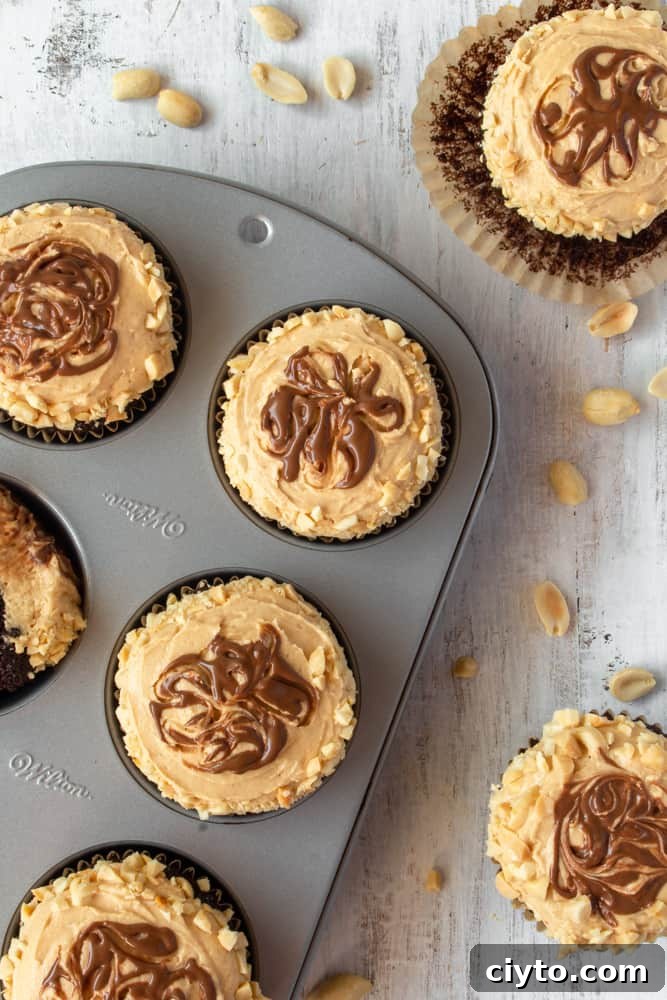 Peanut butter cupcakes with a chocolate swirl in a muffin tin.