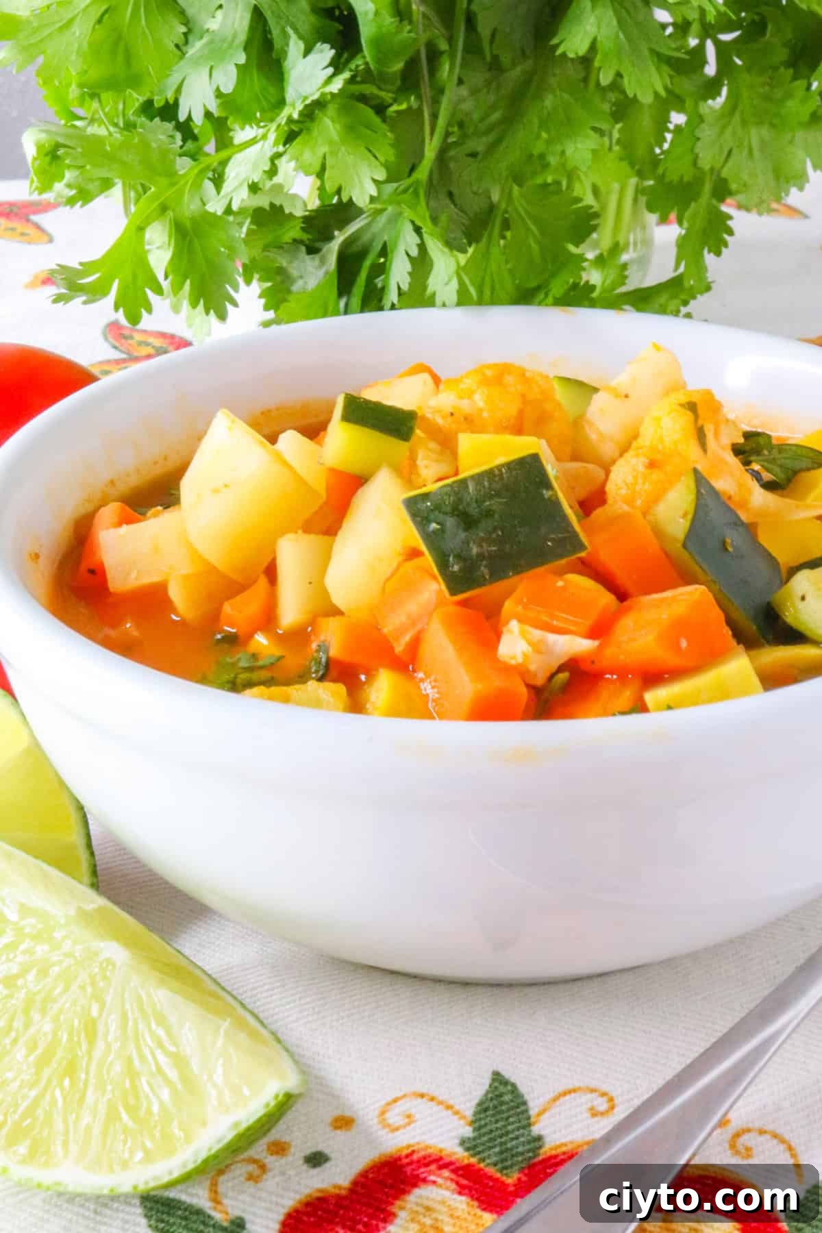 Sopa de Verduras (Mexican Vegetable Soup)
