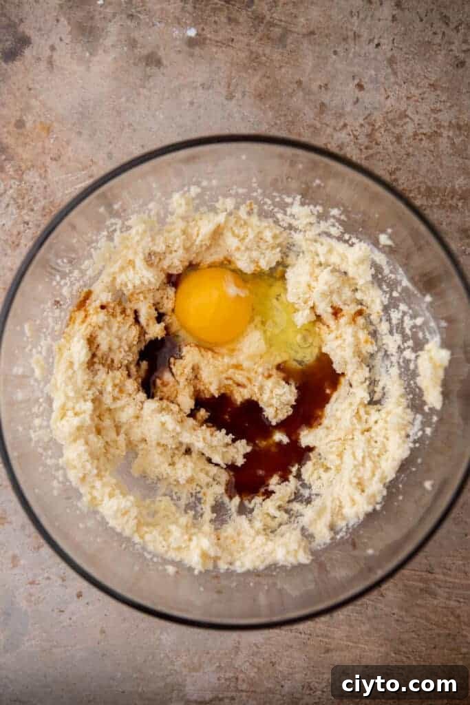 Butter, sugar, egg, and vanilla being mixed