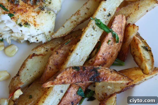 Baked Old Bay Fries | AggiesKitchen.com