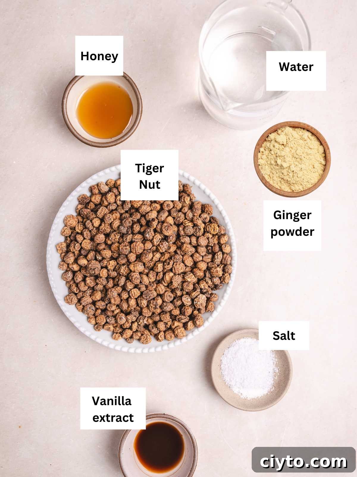 Ingredients needed to make the nut milk.