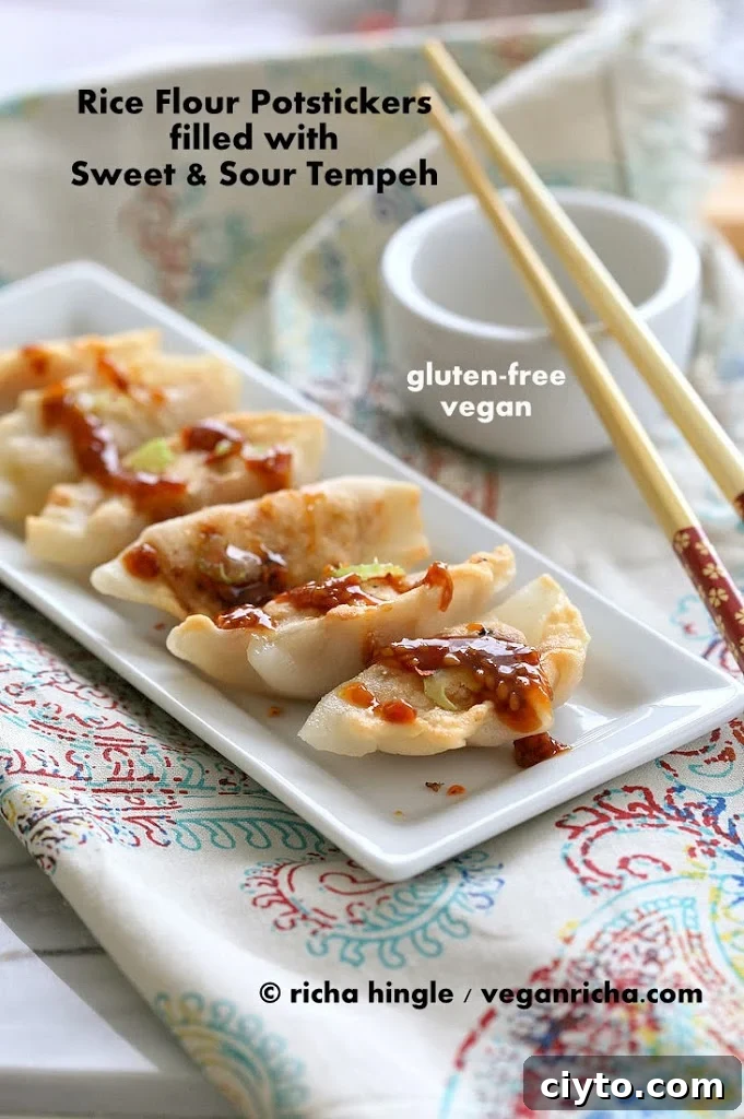 Gluten free Potstickers filled with Sweet & Sour Tempeh and Celery | Vegan Richa