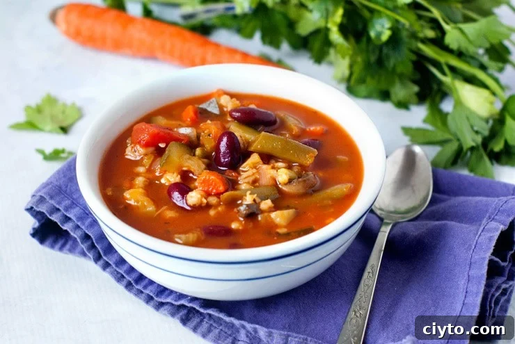 Loaded Vegetable Diet Soup Loaded Vegetable Diet Soup | heatherlikesfood.com