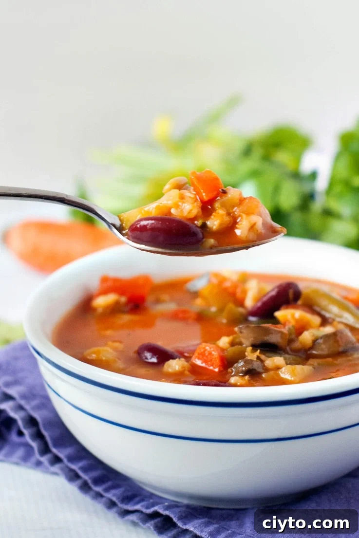 Loaded Vegetable Diet Soup Loaded Vegetable Diet Soup | heatherlikesfood.com
