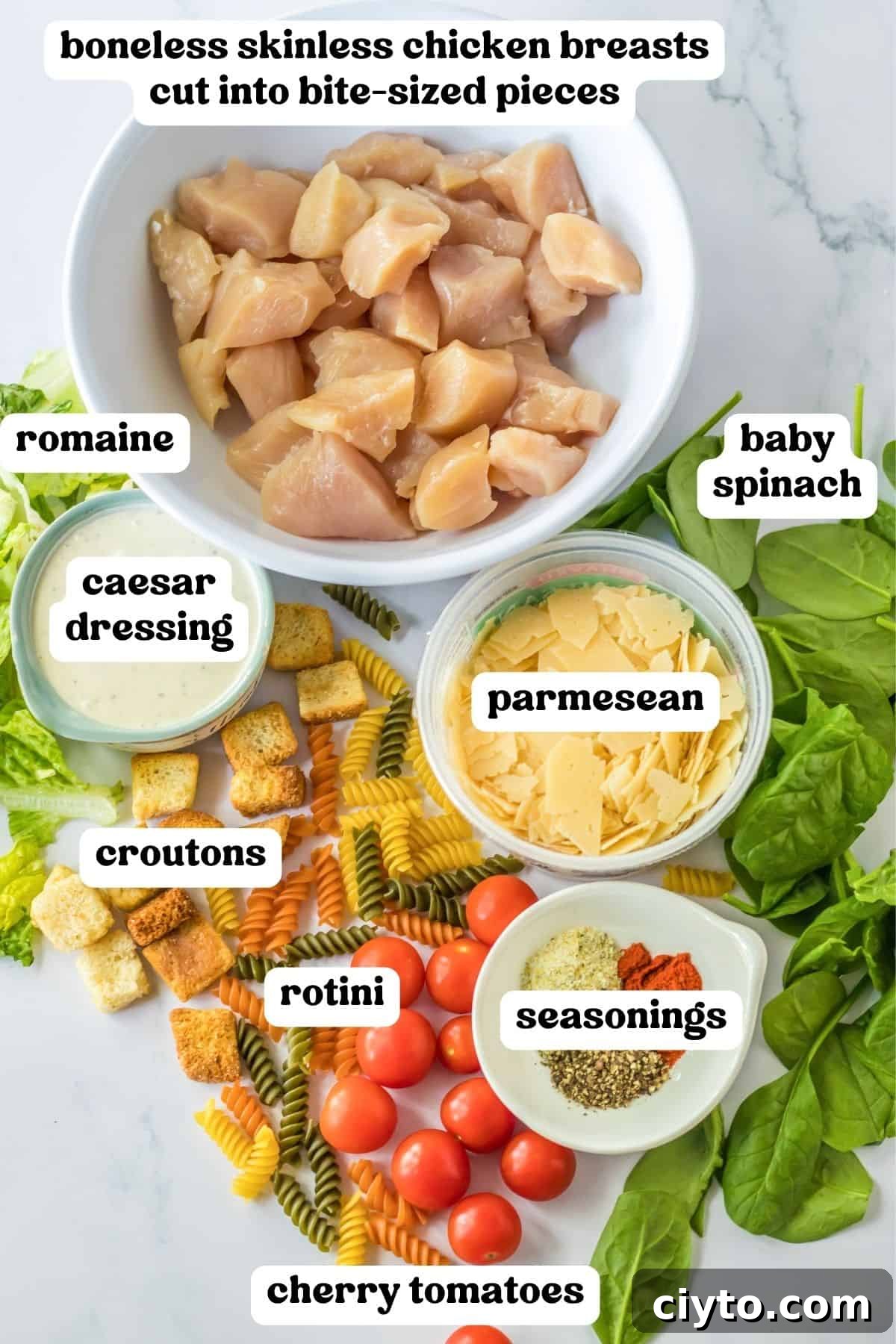 Chicken Caesar Pasta Salad Recipe with Crispy Croutons 4 Chicken breasts cut into bite-sized pieces, romaine lettuce, fresh baby spinach, cherry tomatoes, shaved Parmesan cheese, tri colored rotini, croutons, and seasonings.