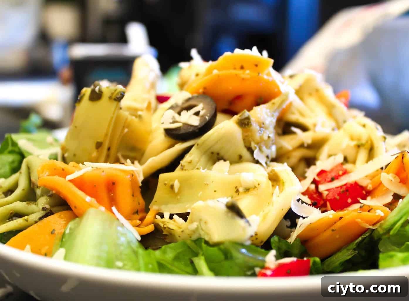 Tortellini Pasta Salad Recipe 3 Tortellini Pasta Salad garnished with shredded mozzarella cheese